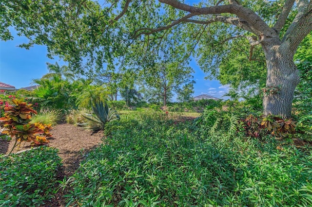 view of nature