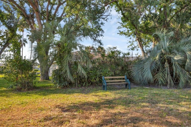 3181 E Village Dr, Venice, FL 34293 - photo 18