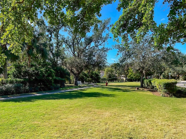 exterior space with a yard
