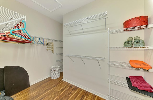 spacious closet featuring attic access and wood finished floors