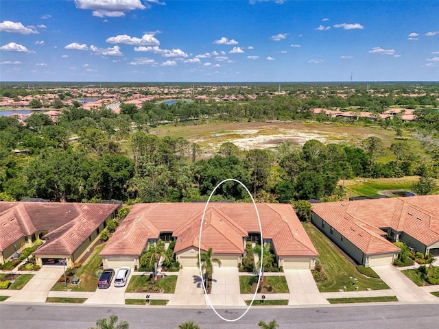 drone / aerial view