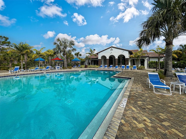 220 Sarezzo Cir, Nokomis, FL 34275 - community pool with a patio