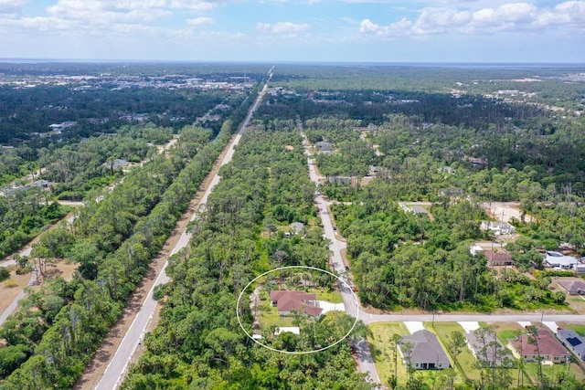 66 Statler St, Port Charlotte, FL 33954 - bird's eye view with a view of trees