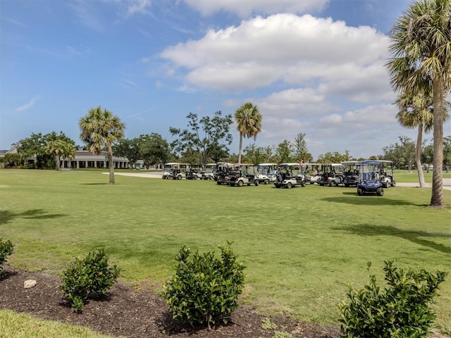 view of property's community with a yard