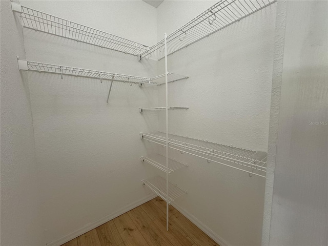 walk in closet featuring wood finished floors
