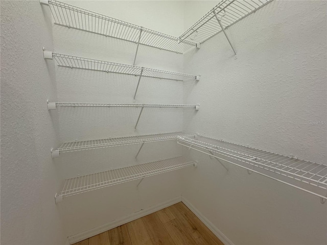 spacious closet featuring wood finished floors