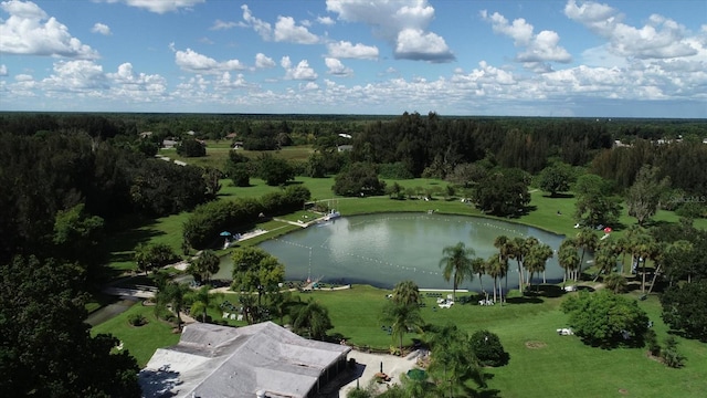 bird's eye view with a view of trees and a water view