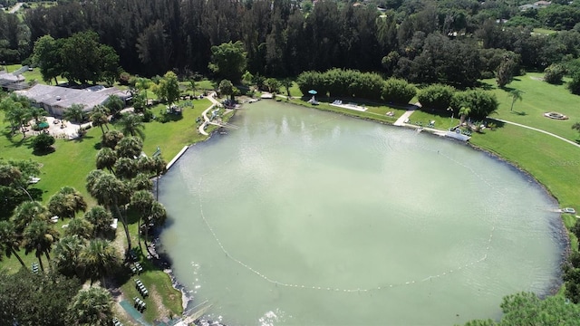 drone / aerial view with a view of trees and a water view