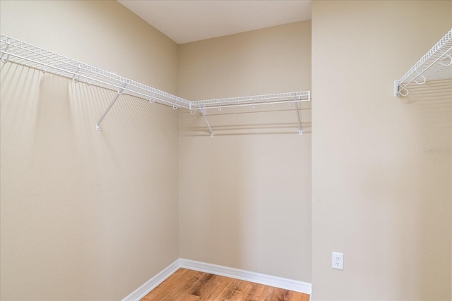 walk in closet with light wood finished floors