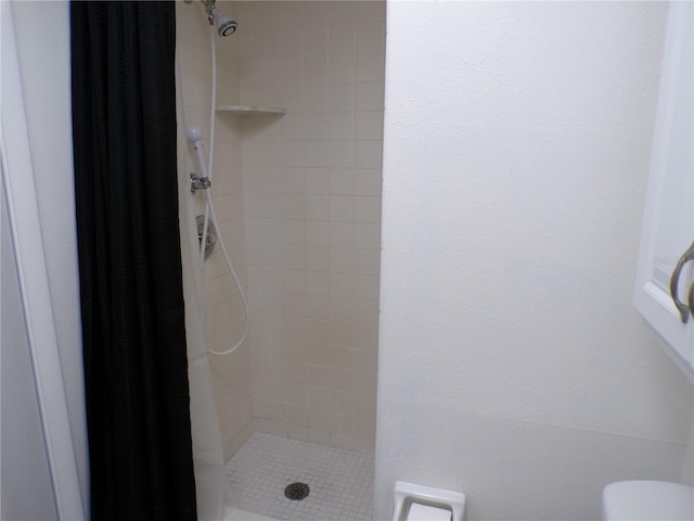 bathroom with a stall shower and toilet