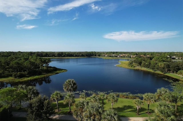 12478 Sagewood Dr, Venice, FL 34293 - photo 65