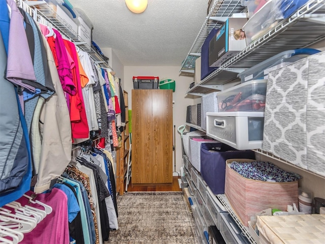 walk in closet featuring wood finished floors