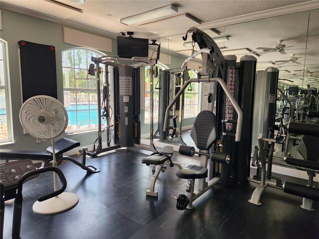 4213 Vicenza Dr Unit A2, Venice, FL 34293 - photo 47