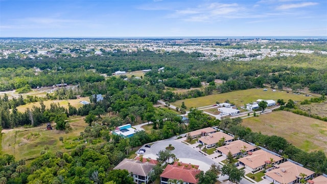 drone / aerial view
