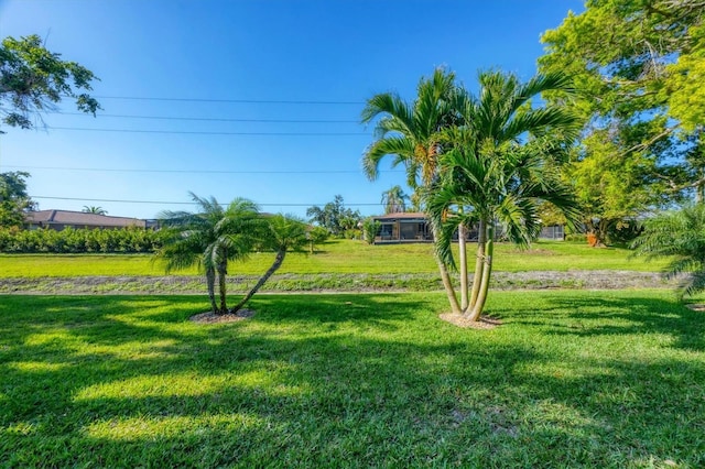 316 Signorelli Dr, Nokomis, FL 34275 - view of yard
