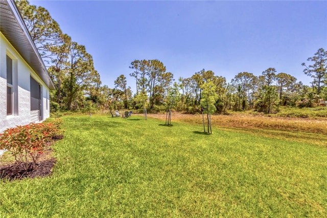 2032 Jagust Rd, North Port, FL 34288 - view of yard