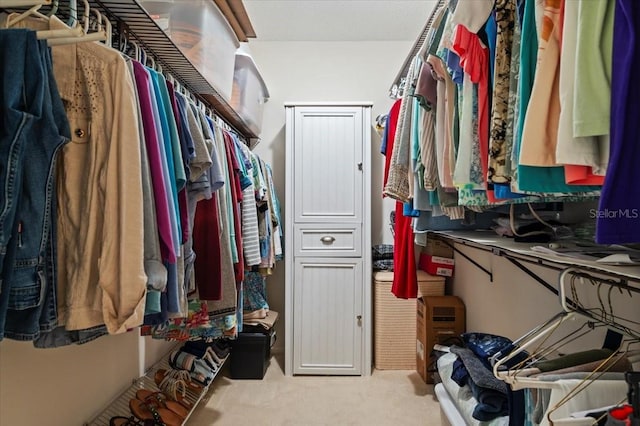 657 Foxwood Blvd, Englewood, FL 34223 - walk in closet featuring carpet