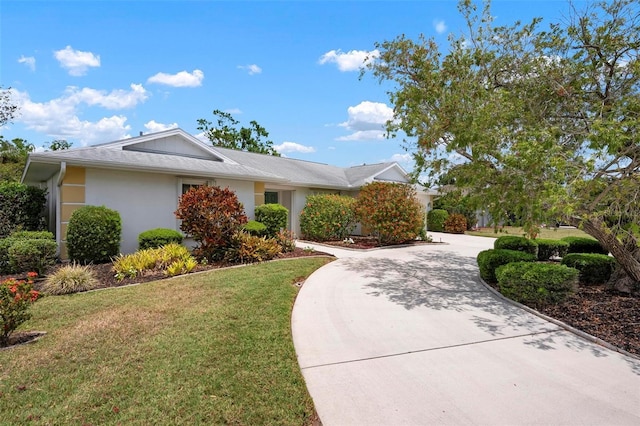 single story home with curved driveway, stucco siding, and a front lawn