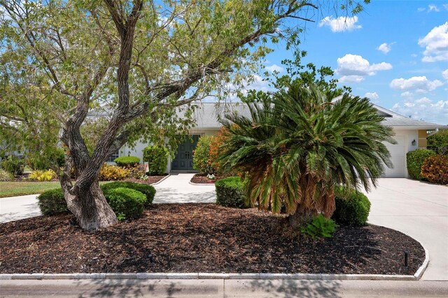 exterior space with concrete driveway and a garage