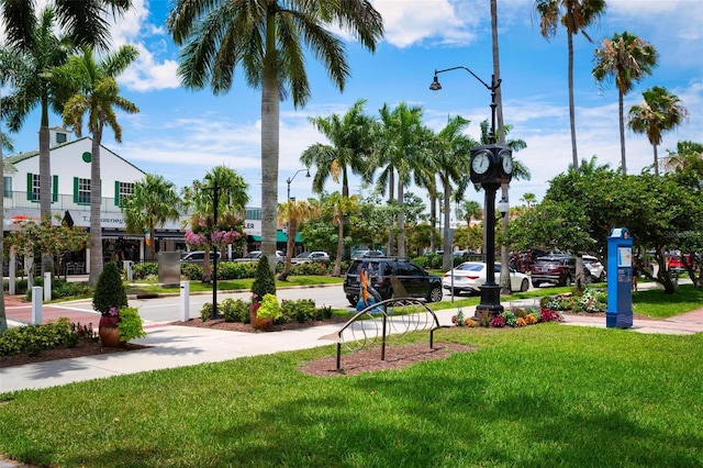 view of community featuring a lawn