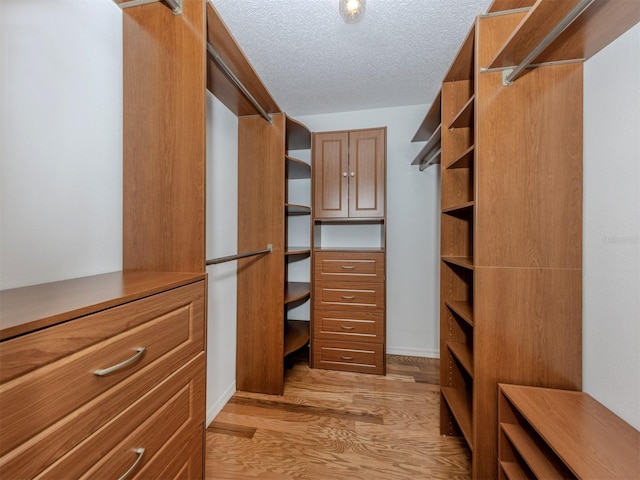 314 Oakwood Cir, Englewood, FL 34223 - spacious closet with light wood-style floors