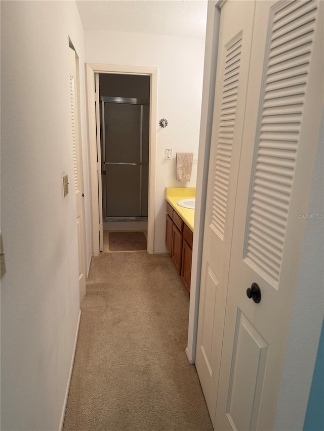 744 Avenida Estancia Unit 144, Venice, FL 34292 - full bath with a closet, vanity, carpet floors, a shower stall, and baseboards