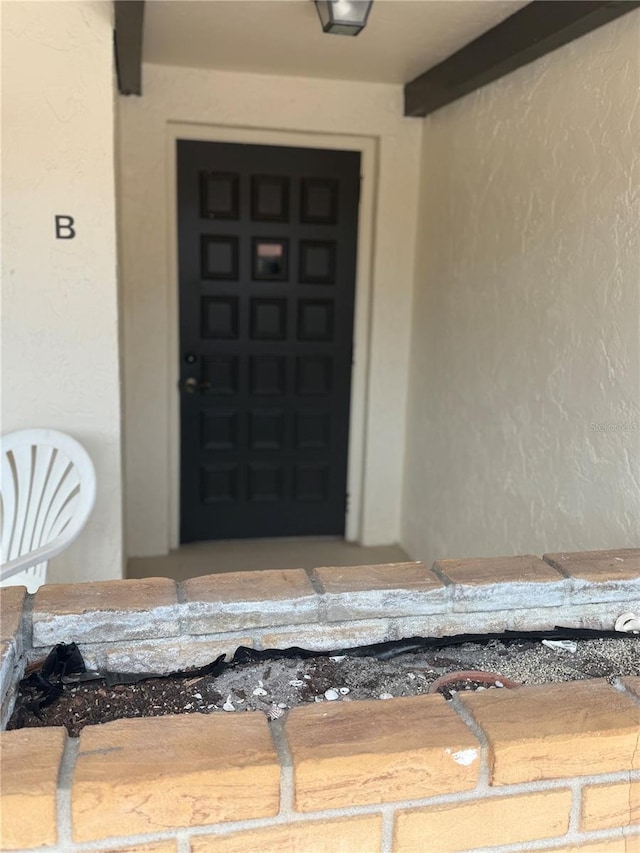 doorway to property featuring stucco siding