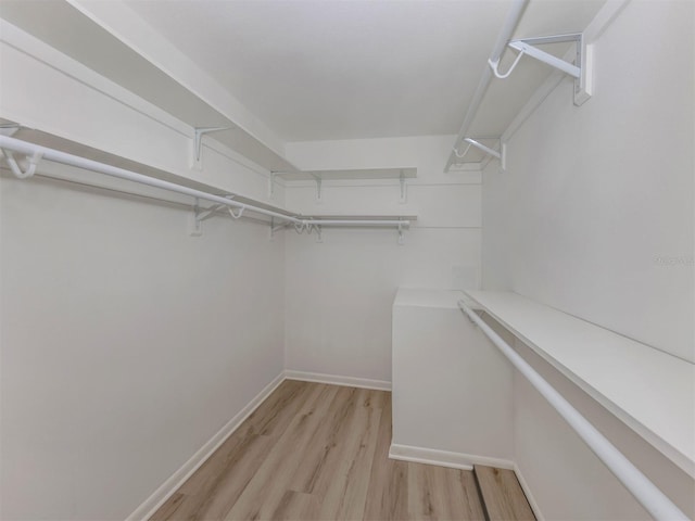 spacious closet featuring light wood-type flooring