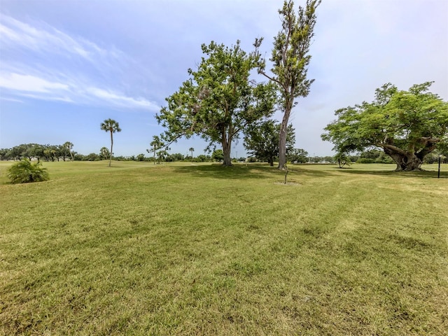 view of grassy yard