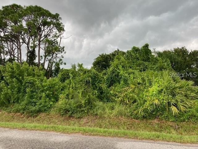 Conrad Rd, Venice, FL 34293 - photo 1