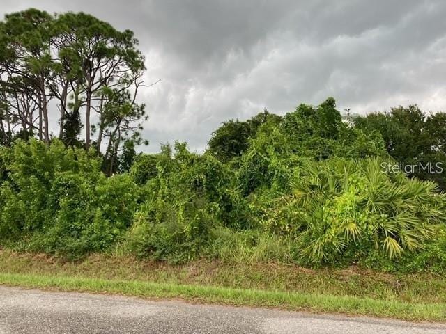 Conrad Rd, Venice, FL 34293 - photo 1