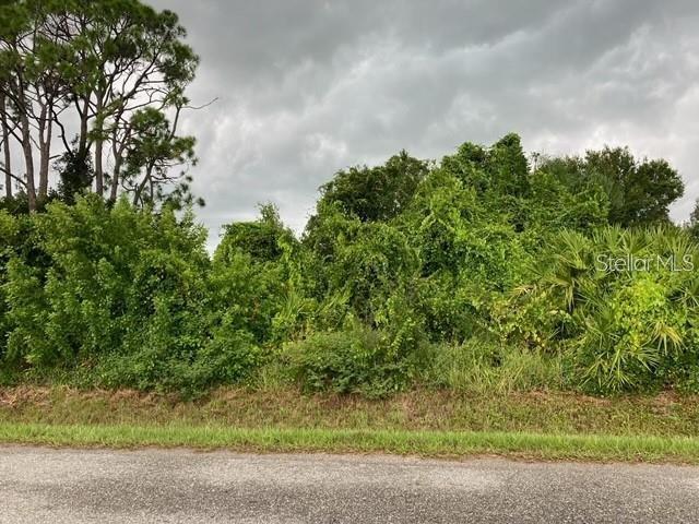 Conrad Rd, Venice, FL 34293 - photo 3