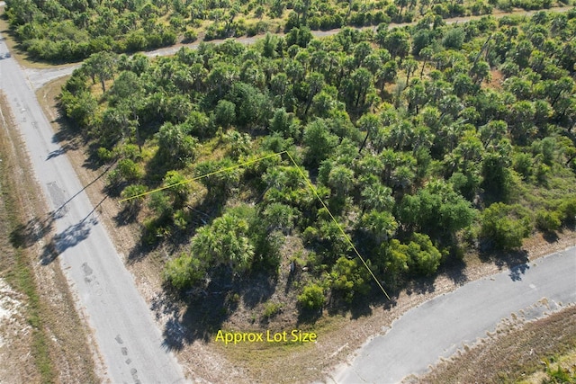 Chile St, North Port, FL 34288