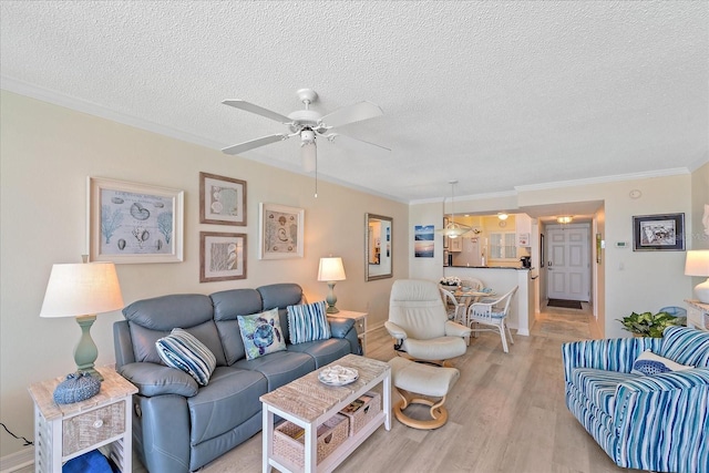 950 Tarpon Center Dr Unit 504, Venice, FL 34285 - living area featuring crown molding, a textured ceiling, light wood-style flooring, ceiling fan, and baseboards