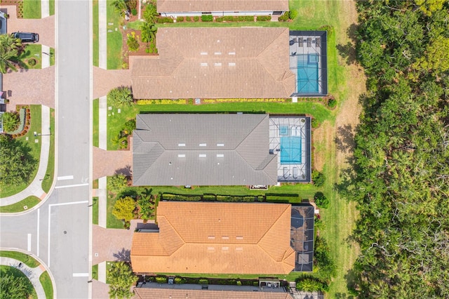 drone / aerial view
