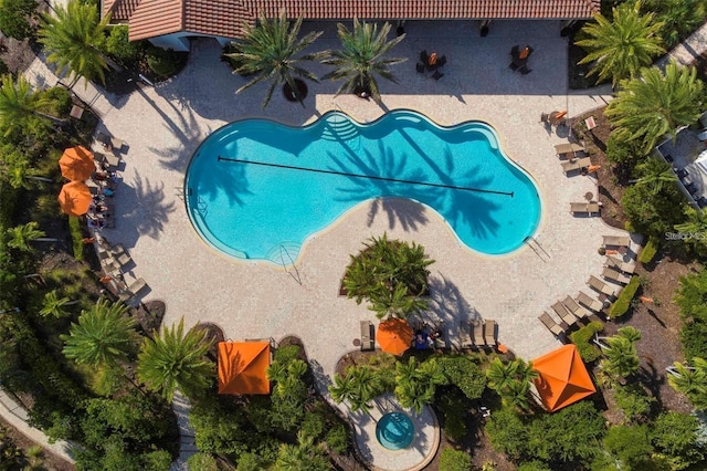 view of pool with a patio