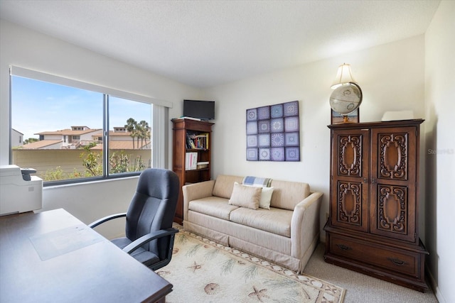 1156 Bird Bay Way Unit 104, Venice, FL 34285 - home office with carpet