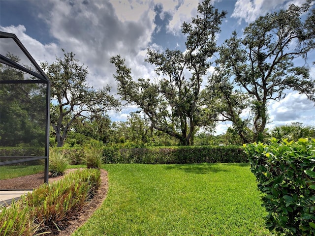 25784 Grayton Ave, Englewood, FL 34223 - view of grassy yard with a lanai