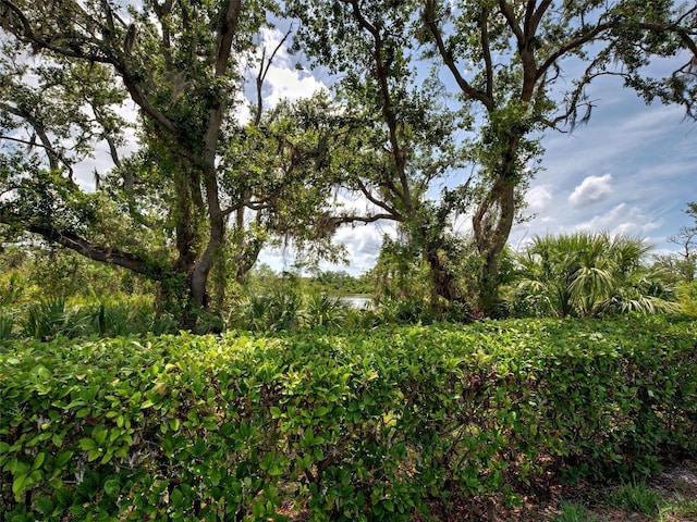25784 Grayton Ave, Englewood, FL 34223 - view of undeveloped land