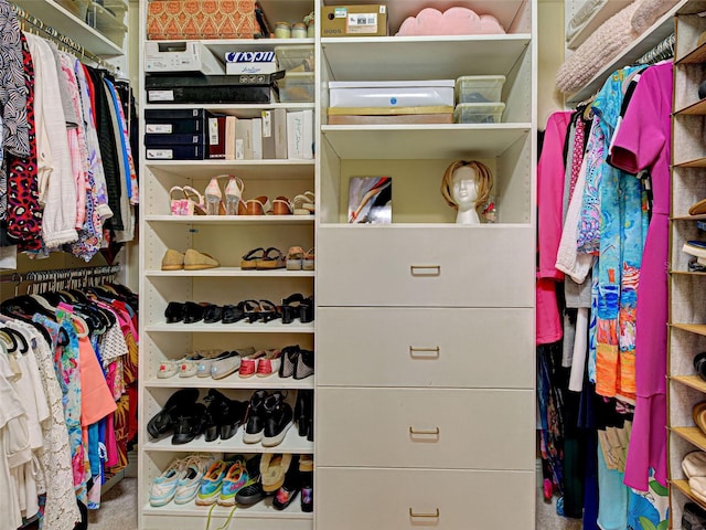 515 Sawgrass Bridge Rd, Venice, FL 34292 - view of spacious closet