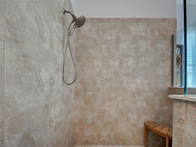 515 Sawgrass Bridge Rd, Venice, FL 34292 - bathroom view of walk in shower