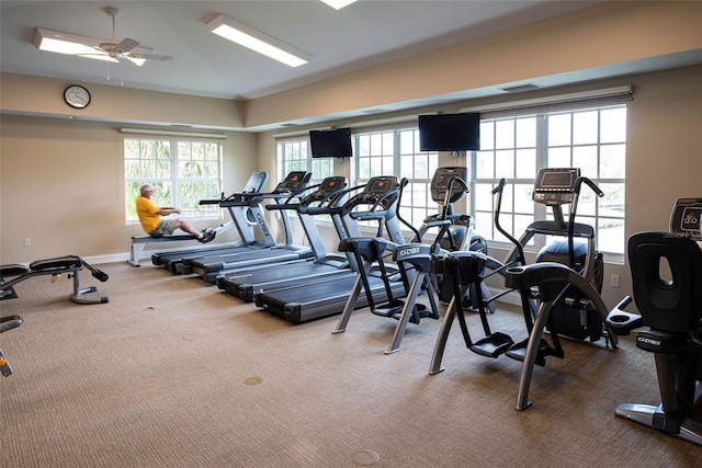 515 Sawgrass Bridge Rd, Venice, FL 34292 - exercise room with carpet, ceiling fan, and baseboards