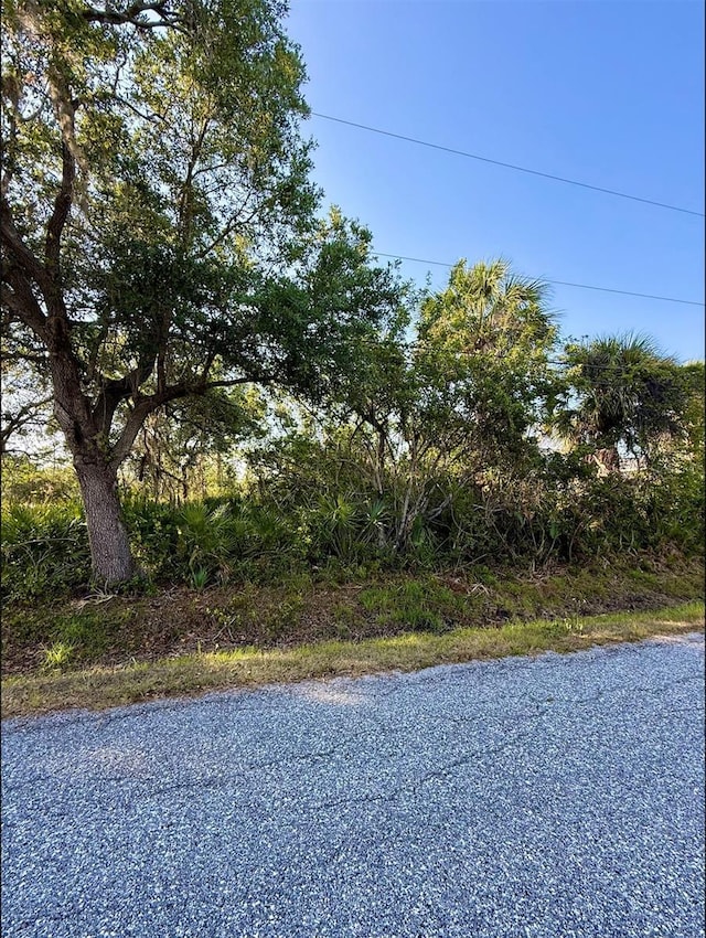 De Miranda Ave, North Port, FL 34287 - photo 1