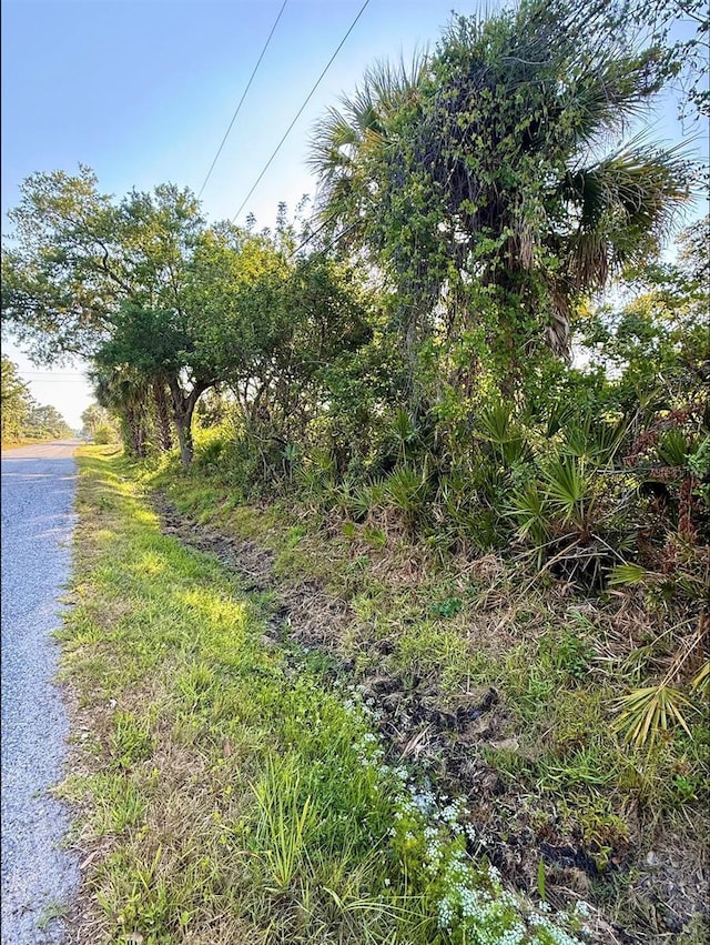 De Miranda Ave, North Port, FL 34287 - photo 4