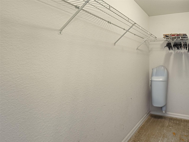 4103 Kinlock St, North Port, FL 34286 - spacious closet featuring carpet flooring