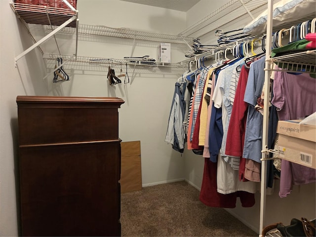walk in closet featuring carpet floors