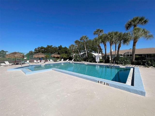 3141 Heron Shores Dr, Venice, FL 34293 - community pool with a patio