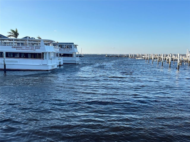 water view featuring a dock