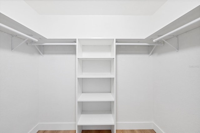 walk in closet featuring wood finished floors