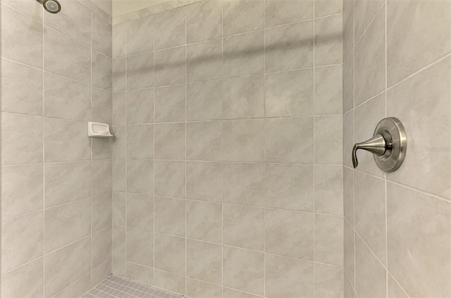 20636 Swallowtail Ct, Venice, FL 34293 - bathroom view of tiled shower